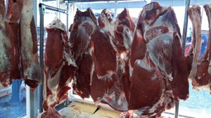 сегодня Торговая точка продажи у нас охлажденном виде торгует мясом