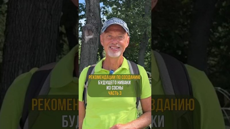 Рекомендации по созданию будущего НИВАКИ ИЗ СОСНЫ. Часть 3