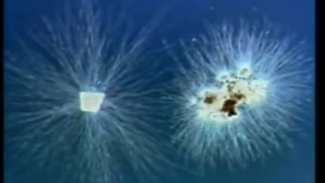 Жизнь в почве смотреть онлайн