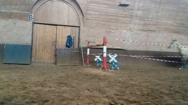 Продажа Ахалтекинских лошадей Sale of Akhal-Teke horses https://akhaltekellc.com смотреть онлайн