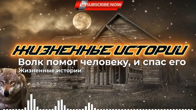 Волк помог человеку, и спас его | Жизненные истории