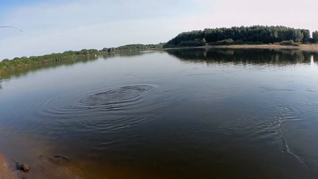 Здоровенный Сазан! Трофейный улов. Река Ока, Рязань. смотреть онлайн