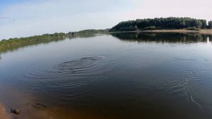 Здоровенный Сазан! Трофейный улов. Река Ока, Рязань.