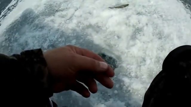 Ловля леща на бисер. Зимняя Рыбалка