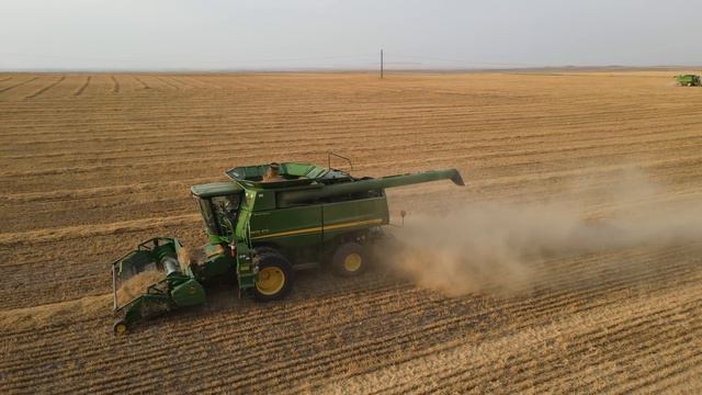 Am I Lost?  Montana Wheat Harvest 2022