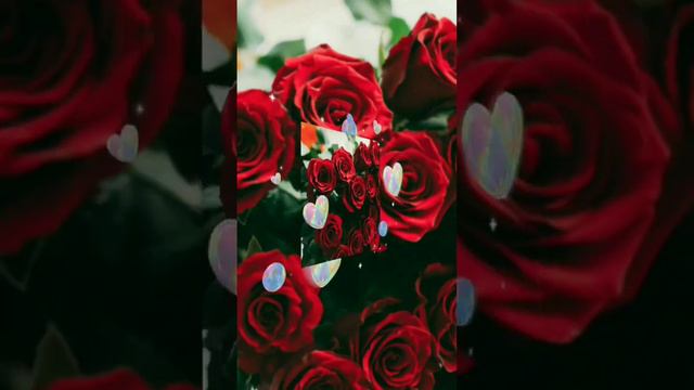 Миллион Алых Роз 2023 Ремикс Армянская версия _ Million Scarlet Roses 2023 remix Armenian version