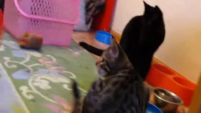 ФУНТИК.wmv смотреть онлайн