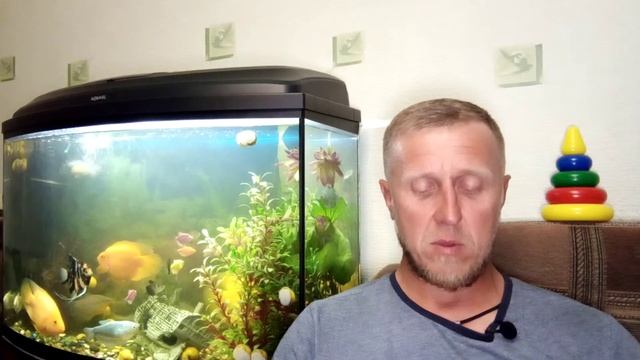 А. С. Пушкин Сказка о попе и работнике его Балде смотреть онлайн