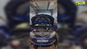 шумоизоляция шкоды рапид и отзыв владельца