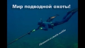 Мир подводной охоты