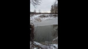Течёт река Толучеевка в феврале.