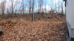 We Made an Offer on 65 Acres! Jennifer Sugint- NNKH