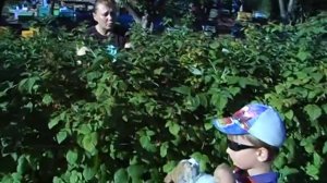 На пасеке семьи Хоменко