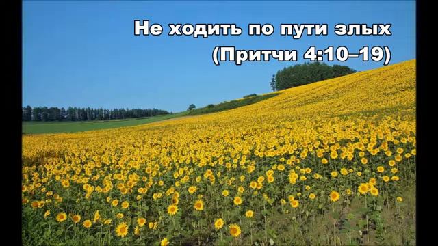 24.08.2015 Прямой путь (Притчи 4:10-27)