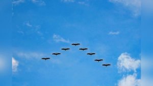 Юрий Визбор. Мне большего не надо! СТИХиЯ