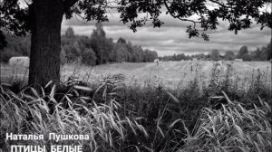 Наталья Пушкова - Птицы Белые Мои