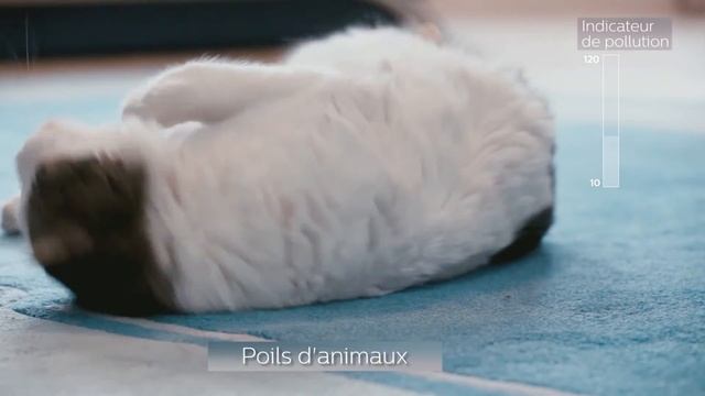 Purificateur PHILIPS AC3256/10 SERIE 3000 смотреть онлайн