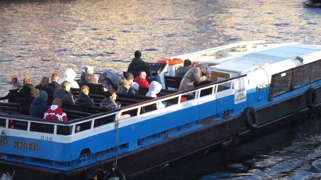 Прогулка с доберманами по Санкт-Петербургу смотреть онлайн