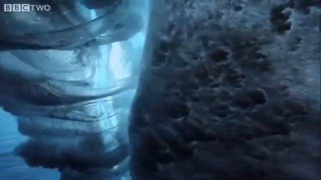 Ролик про виды спорта