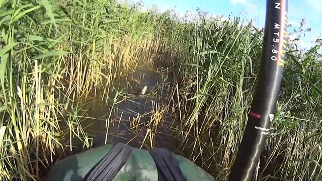 КАРП живёт в КАМЫШАХ (часть3) I КАК ПОЙМАТЬ КРУПНОГО КАРПА на ПОПЛАВОЧНУЮ удочку смотреть онлайн