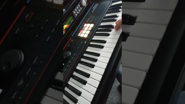 "New Dawn Fades" [Instrumental] Joy Division Cover. Recreated on the Roland Juno DS Sequencer. смотреть онлайн