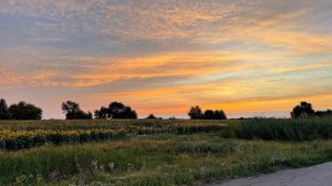 Подходи, пообщаемся #48 - Стрим в саду | Замедление Youtube | Обсуждение новостей