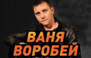 Ваня Воробей - Дураки на дороге (2014)
