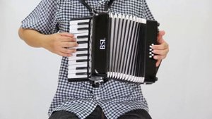 BSL ACCORDION 22 KEY 8 BASS