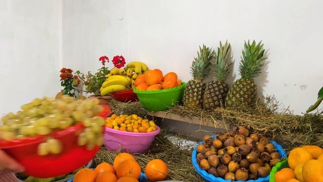 We Strengthen Our Health With Healthy Fruits! Winter Life in the Countryside