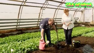 Формирование компостной кучи