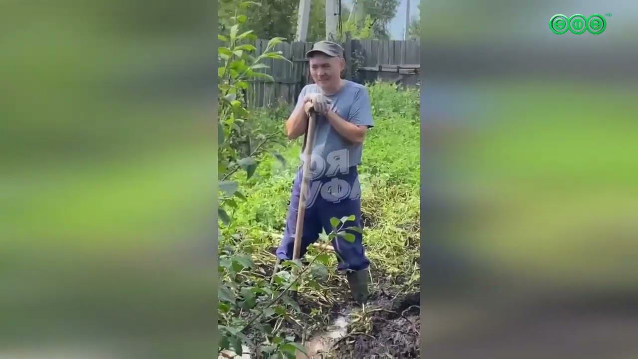 Башкортостан столкнулся с паводком