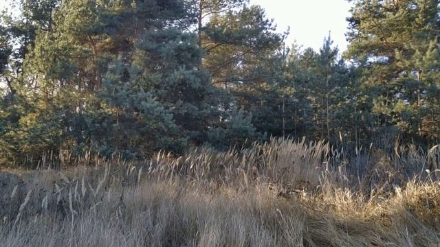 29 ноября праздник Матвеев День . Народные приметы и традиции смотреть онлайн