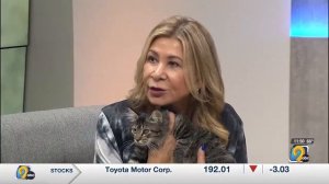 SAINT Cat Rescue shares tips on cat adoption