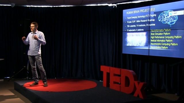 Естественный интеллект в неестественных условиях | Павел Булай | TEDxNiamiha смотреть онлайн