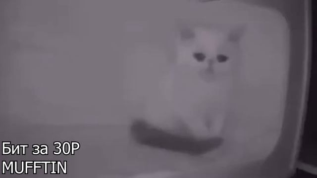 Купил Биты за 10,30,50,100 Рублей (жесть) смотреть онлайн