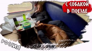 С собакой в поезде // Начало большого путешествия // Влог