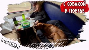 С собакой в поезде // Начало большого путешествия // Влог