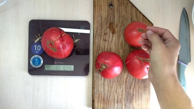 Томат МАЛИНОВОЕ ОБЛАКО в теплице и в разрезе.