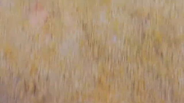 Ромштекс куриный смотреть онлайн