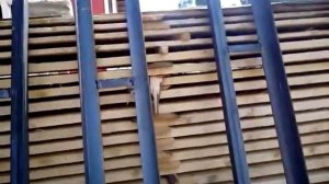 Сварка перемычек над окнами из уголка