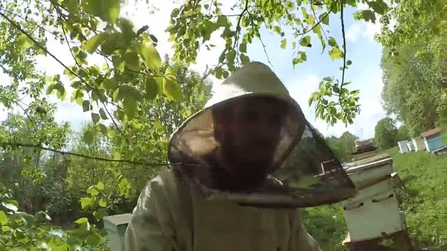 Пчелодень. Делю семьи, ловлю рои, делаю подставки. смотреть онлайн