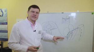 Опущение (выпадение) матки, влагалища, мочевого пузыря. Причины. Лечение. Операция