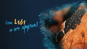 Сом L181 и его друзья)