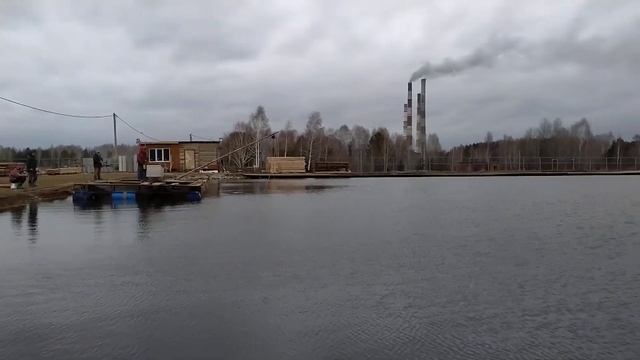 Вылов форели с пруда. Отлов излишков форели с платного пруда смотреть онлайн