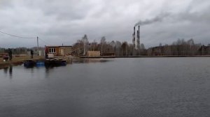 Вылов форели с пруда. Отлов излишков форели с платного пруда