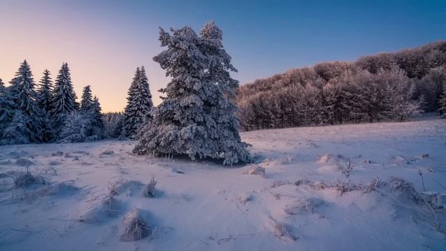 Истории из жизни. Случайная встреча. Жизненные истории. Интересные истории. Душевные истории.