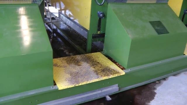 Линия для переработки грецкого ореха,мойка чистка ореха. смотреть онлайн