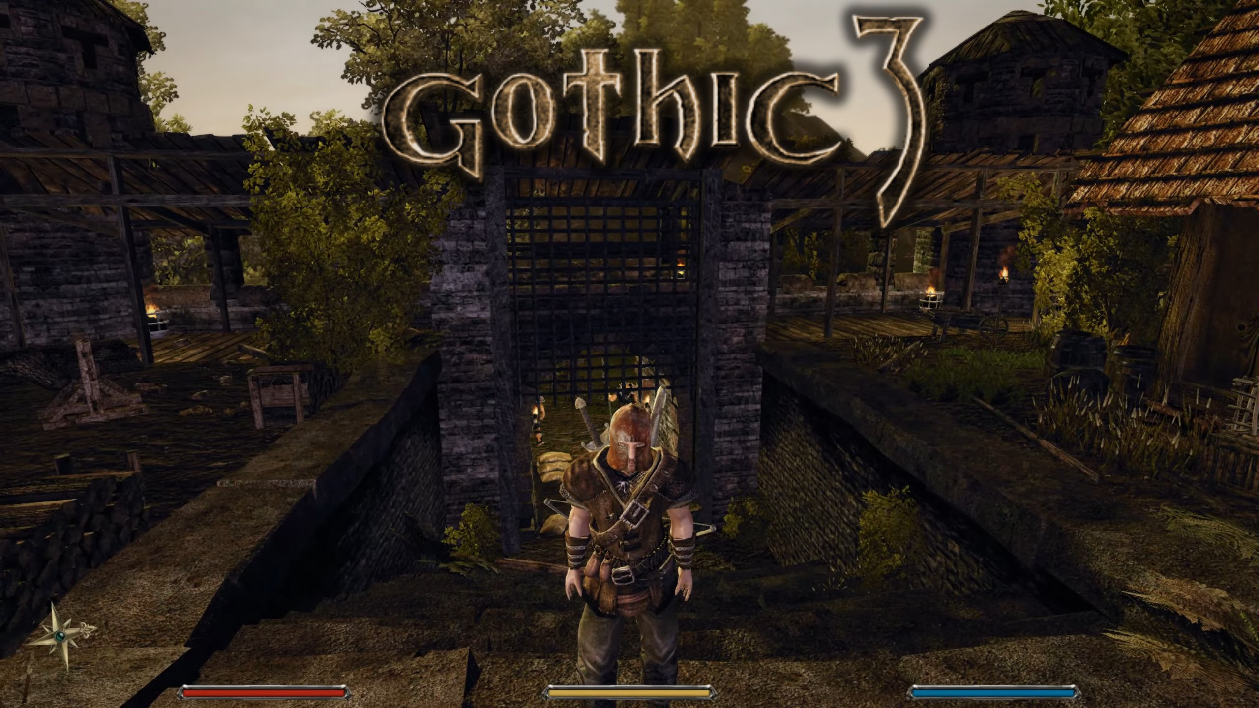 как поставить русский язык в gothic 3 стим фото 93