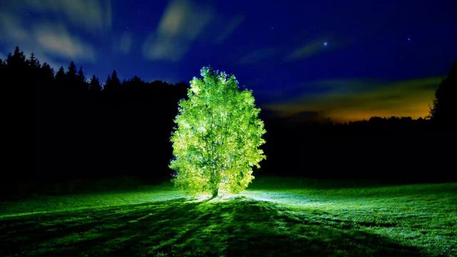 КАК БЫСТРО СТАТЬ ПРОСВЕТЛЕННЫМ | How To Quickly Become Enlightened