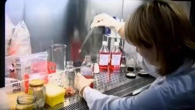 Клеточная инженерия.avi смотреть онлайн